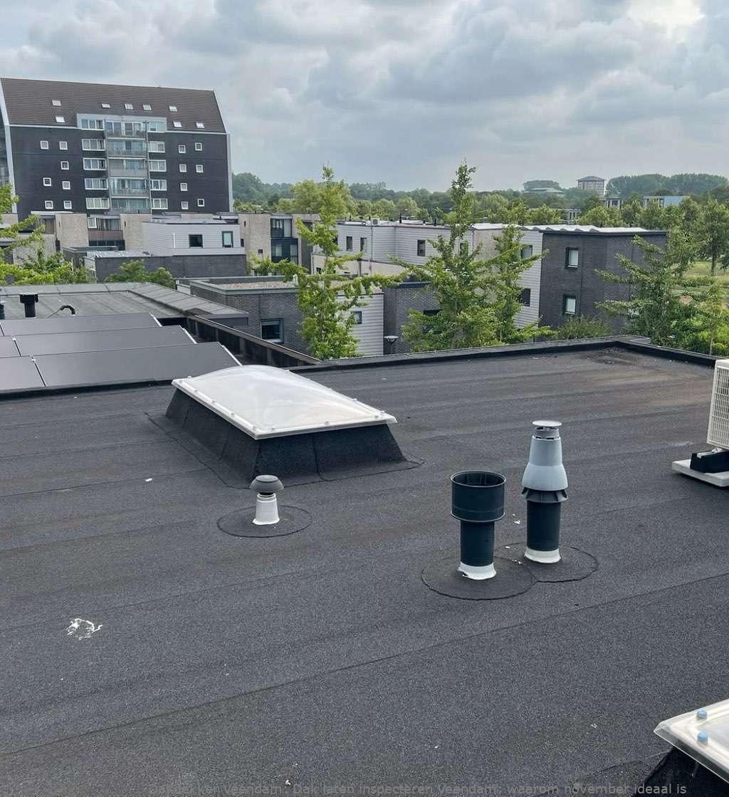 Dak Laten Inspecteren Veendam