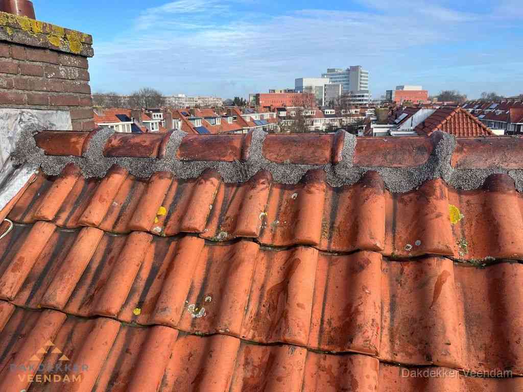 Nieuw bitumen plat dak met uitzicht over woonwijk in Veendam