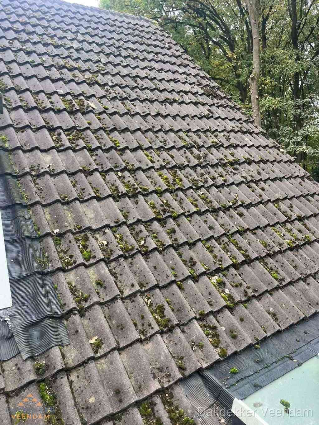 Verweerd pannendak met mosgroei dat renovatie nodig heeft in Veendam