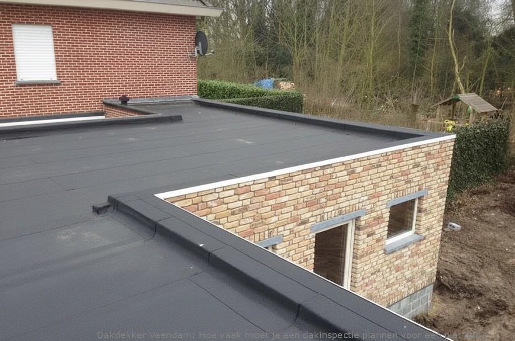 Dakinspectie Plat Dak Veendam