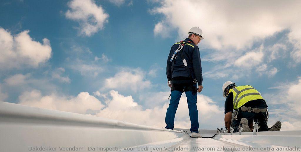 Dakinspectie Voor Bedrijven Veendam