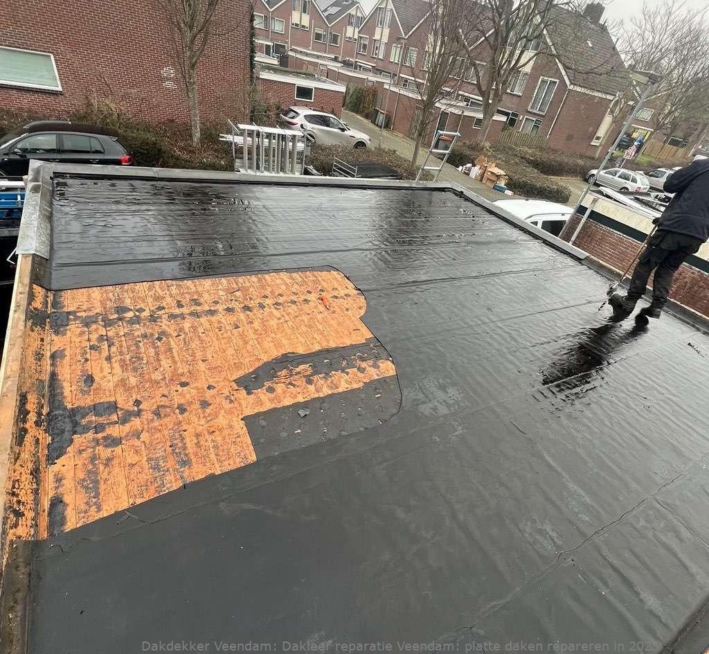 Dakleer Reparatie Veendam