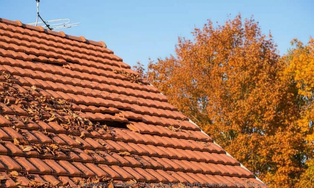 Dakrenovatie In Herfst Veendam