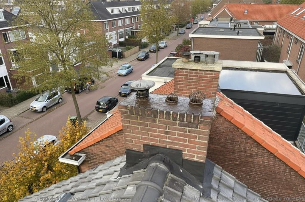 Lekkage Aan De Schoorsteen Veendam