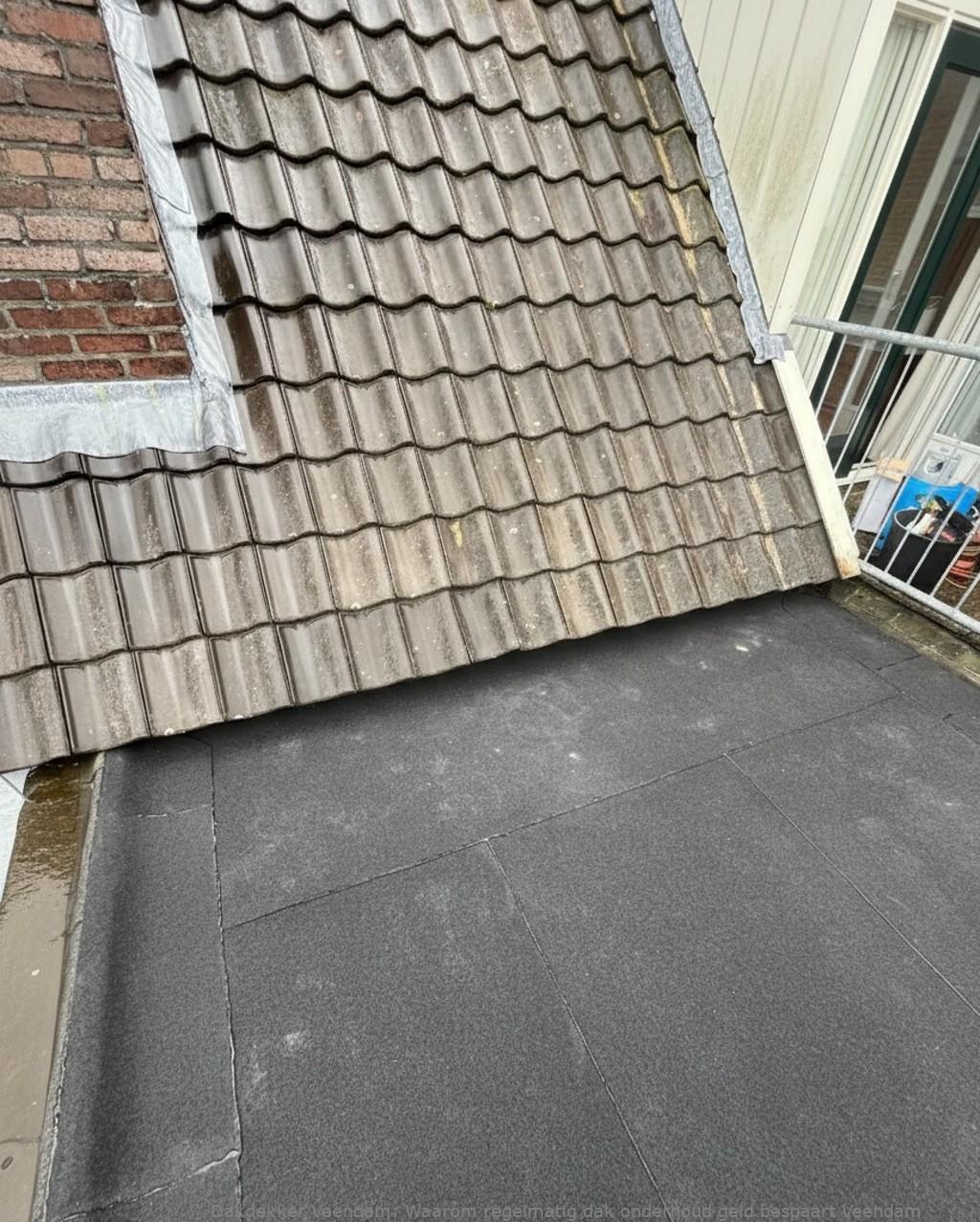 Onderhoud Dak Veendam