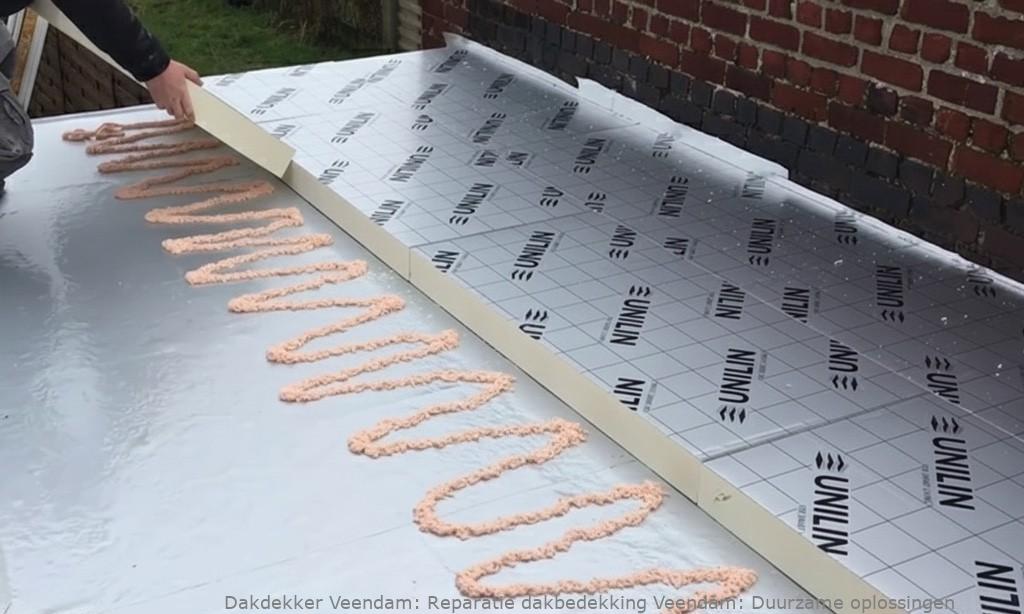 Reparatie Dakbedekking Veendam