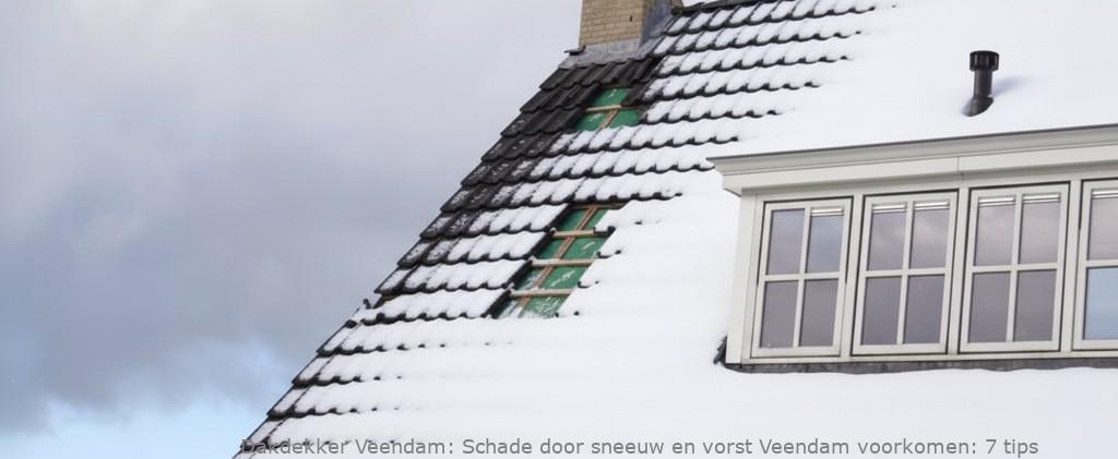 Schade Door Sneeuw En Vorst Veendam