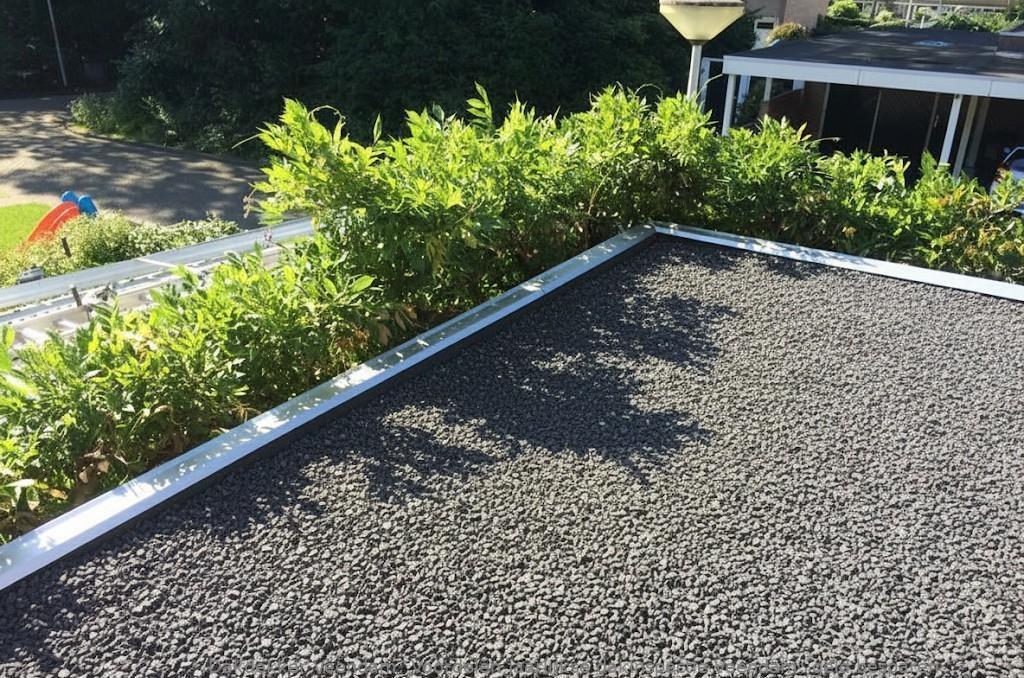 Voordelen Jaarlijkse Dakinspectie Veendam