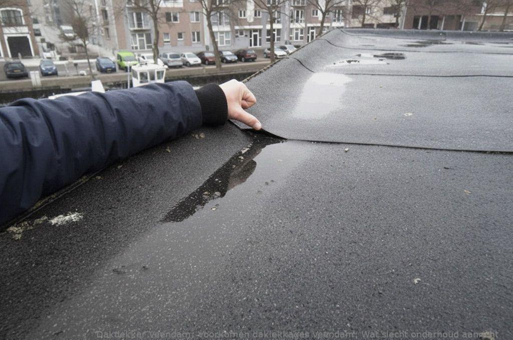 Voorkomen Daklekkages Veendam