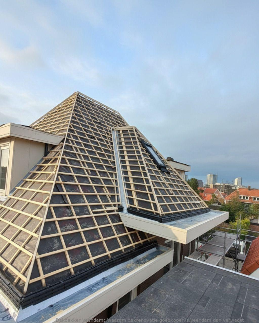 Waarom Dakrenovatie Goedkoper Is Veendam